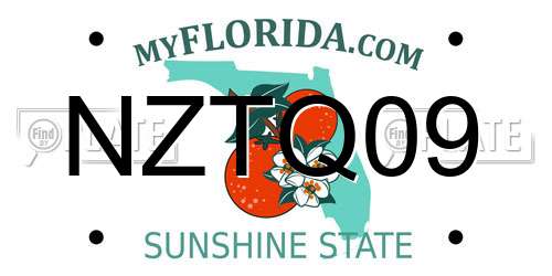 NZTQ09 Florida License Plate