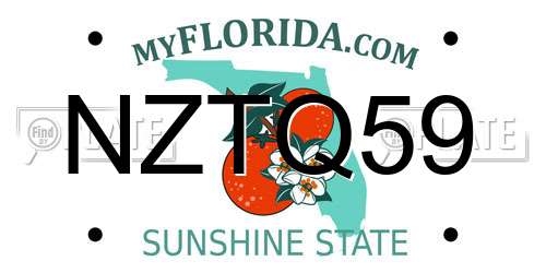 NZTQ59 Florida License Plate