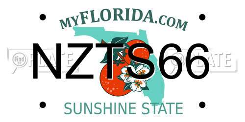 NZTS66 Florida License Plate