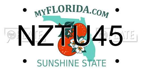 NZTU45 Florida License Plate