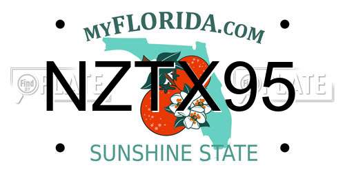 NZTX95 Florida License Plate