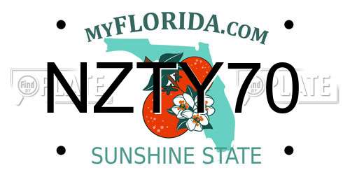 NZTY70 Florida License Plate