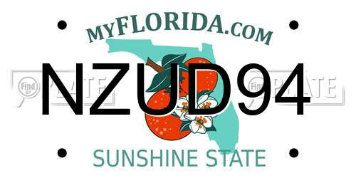 NZUD94 Florida License Plate