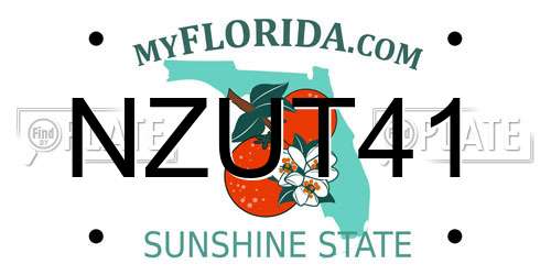 NZUT41 Florida License Plate