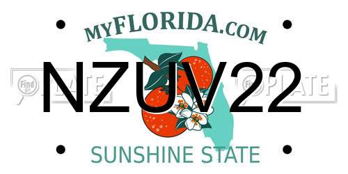 NZUV22 Florida License Plate