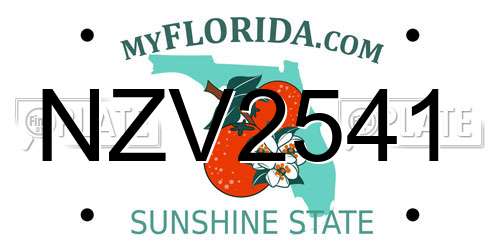 NZV2541 Florida License Plate
