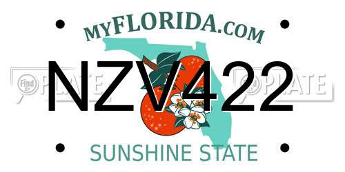 NZV422 Florida License Plate