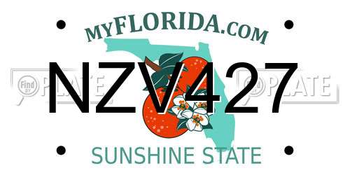NZV427 Florida License Plate