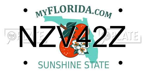 NZV42Z Florida License Plate