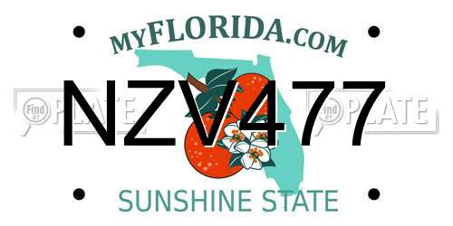 NZV477 Florida License Plate