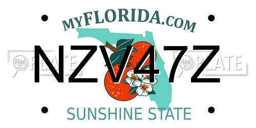 NZV47Z Florida License Plate