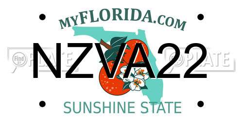 NZVA22 Florida License Plate