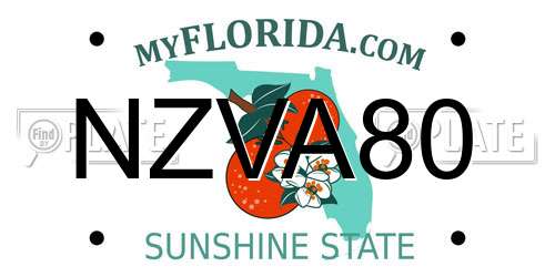 NZVA80 Florida License Plate