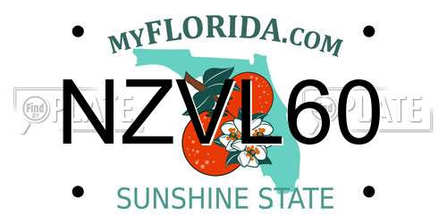 NZVL60 Florida License Plate