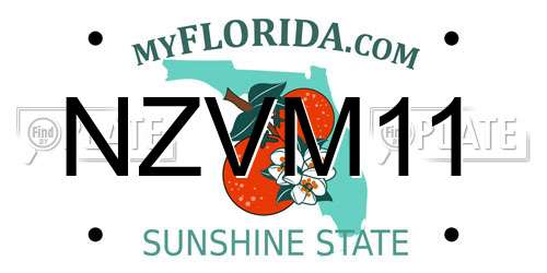 NZVM11 Florida License Plate