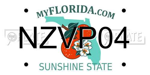 NZVP04 Florida License Plate