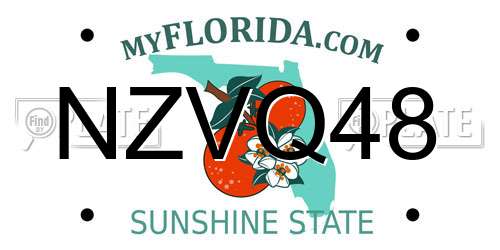 NZVQ48 Florida License Plate