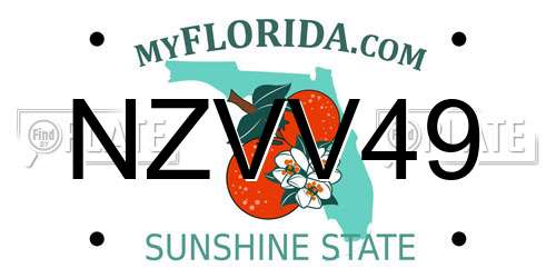 NZVV49 Florida License Plate
