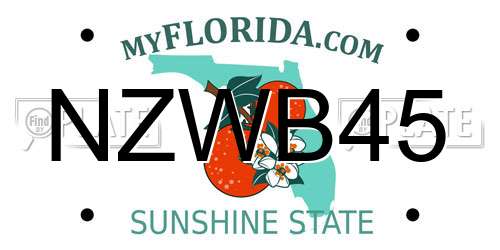 NZWB45 Florida License Plate