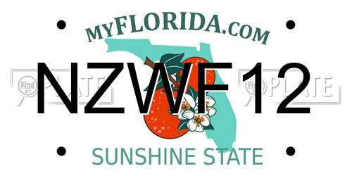 NZWF12 Florida License Plate