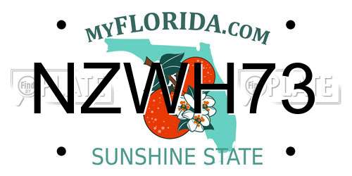 NZWH73 Florida License Plate