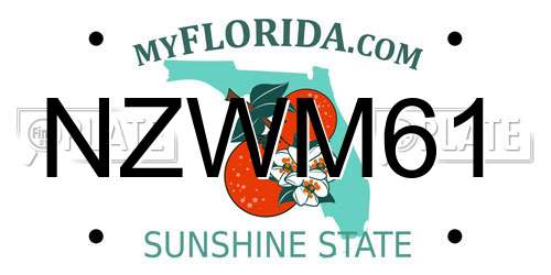 NZWM61 Florida License Plate