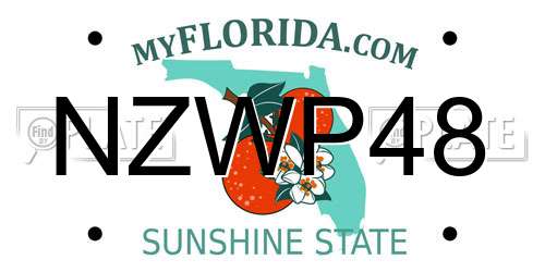NZWP48 Florida License Plate