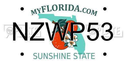 NZWP53 Florida License Plate