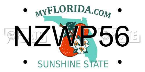 NZWP56 Florida License Plate