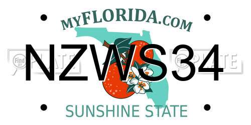 NZWS34 Florida License Plate