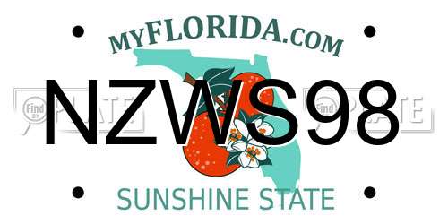 NZWS98 Florida License Plate