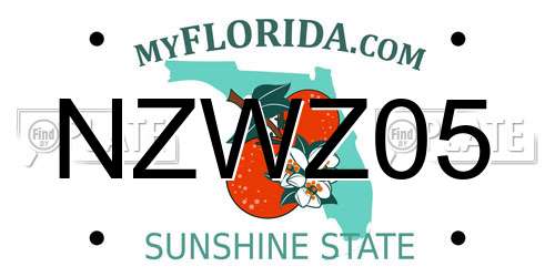 NZWZ05 Florida License Plate