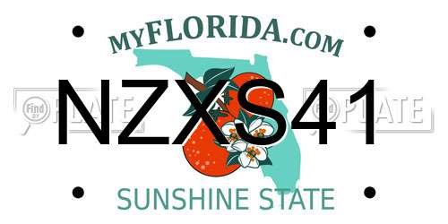 NZXS41 Florida License Plate