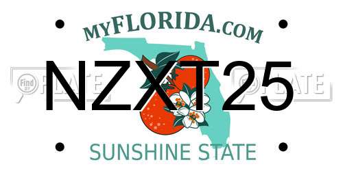 NZXT25 Florida License Plate