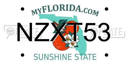 NZXT53 Florida License Plate