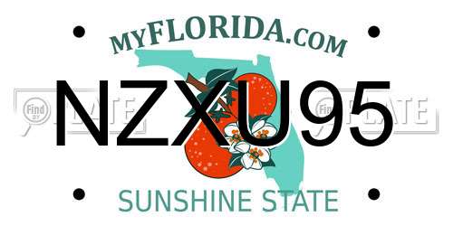 NZXU95 Florida License Plate