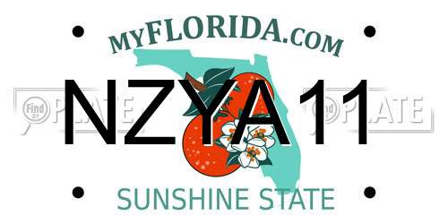 NZYA11 Florida License Plate