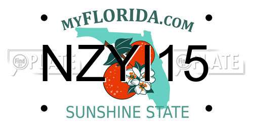 NZYI15 Florida License Plate