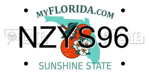 NZYS96 Florida License Plate
