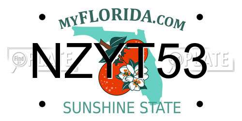 NZYT53 Florida License Plate