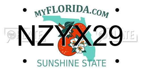 NZYX29 Florida License Plate
