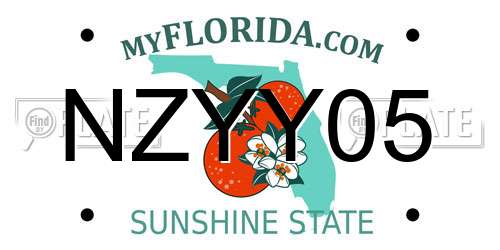 NZYY05 Florida License Plate