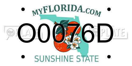 O0076D Florida License Plate
