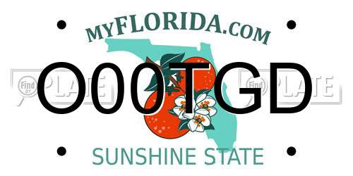 O00TGD Florida License Plate