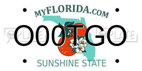 O00TGO Florida License Plate