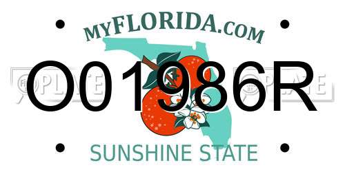 O01986R Florida License Plate