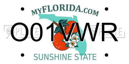 O01VWR Florida License Plate