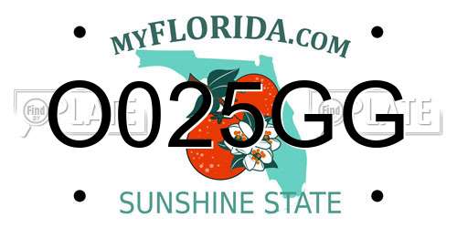 O025GG Florida License Plate