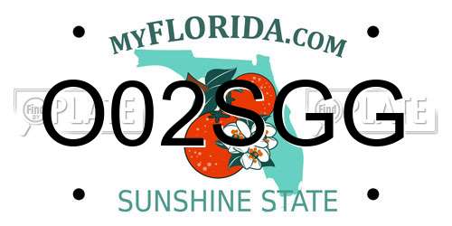 O02SGG Florida License Plate