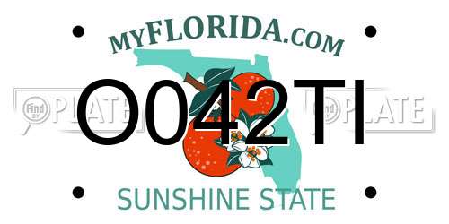 O042TI Florida License Plate